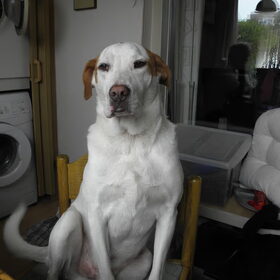 Ons heertje Darcey