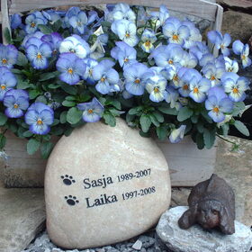 Laika en Sasja (14)