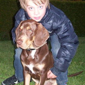 Hondenfoto van Juut & Brownie 