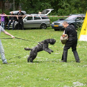 shadow op een demonstratie bij de clubmatch in zmeer