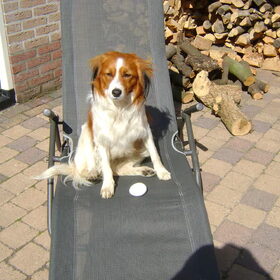 Sil en zijn allereerste rauwe ei!!!