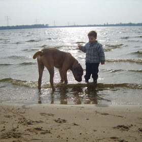 Hondenfoto van nicole & rocky , Bickel en max