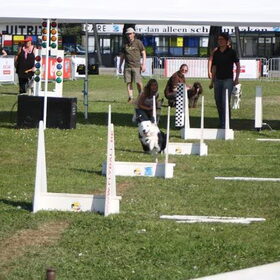 Europees kampioenschap Flyball