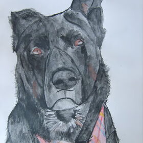 Hond van Dobry (lola)
