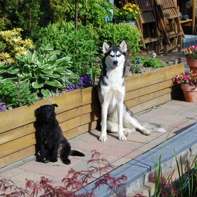 Sky en Diesel (4)
