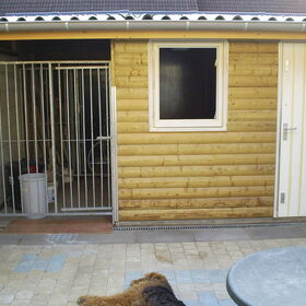Onze Airedales leven zowel in huiselijke kring als in hun eigen…