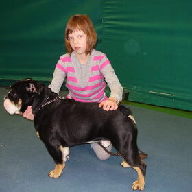 Onze knappe zwarte Binky. Is een echte engelse bull ondanks dat…