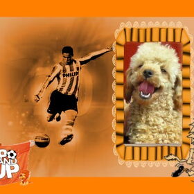 hup holland hup wij willen winnen