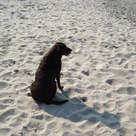 aan de zee