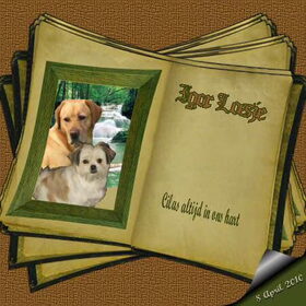 Een PSP lesje gedaan,met een fotalbum