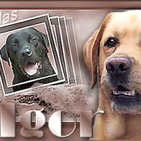 Dit is een banner gemaakt na het overlijden van Cilas