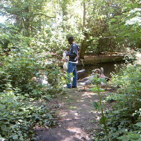 Vrouw Holle(robby) met de ganzen.