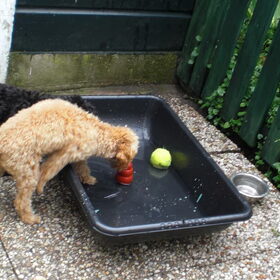 kijk als warm is mogen wij hier in spelen, lekker met water