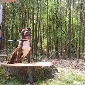 Bruno poseert weer