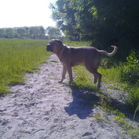 maart 2010