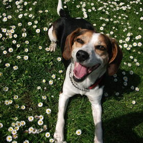 roxy lekker zonnen