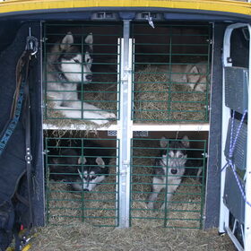 hondenhokken in de berlingo.. toen we nog 4 honden hadden