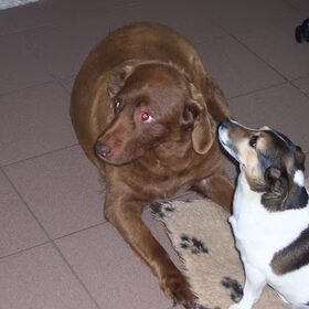 boris & moby
