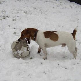 sneeuwpret 2004