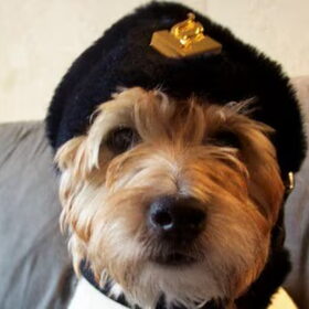 Jacky is de mascotte van onze afdeling. Er hangt een grote foto…