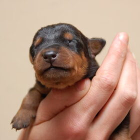 5 dagen oud