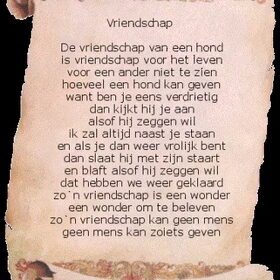 Hondenfoto van ~~Michelle&Mushu~~