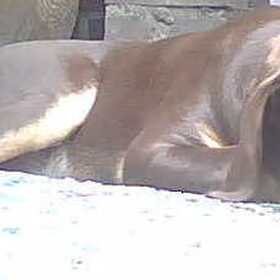Lui in de zon