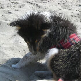 fay, het zand-monstertje