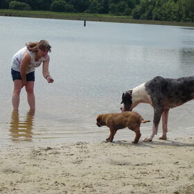 Hondenfoto van Linda; Roxy & Buddy