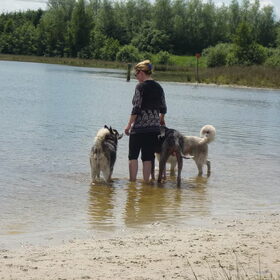 Hondenfoto van Linda; Roxy & Buddy