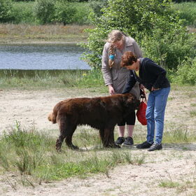 Hondenfoto van Linda en Kenji