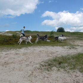 Kom op! We smeren 'em!
