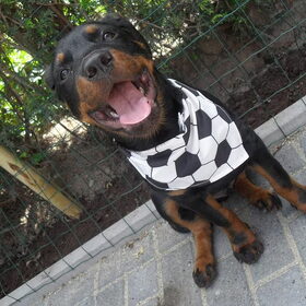 Say cheese!!