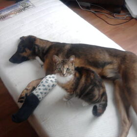 10-06-2010 Weer met ze 2en