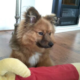 Met Winnie
