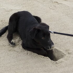 M'n eerste dag op het strand en m'n eerste dag bij m'n nieuwe…