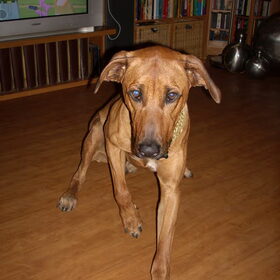 HOERA IK BEN JARIG !!! 1 jaar geworden op 15-06-2010