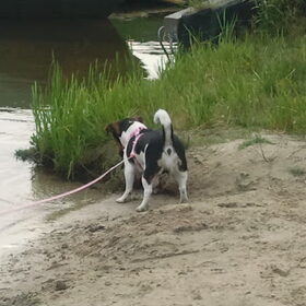 Hondenfoto van Yvonne en cyra