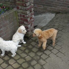 heeeeee kan ik jou¿¿¿¿¿¿¿¿¿¿¿¿¿