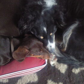 Kaily en Takkie