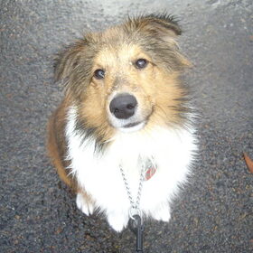 Butters 6 maand!