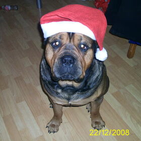 Fijne kerst iedereen!!