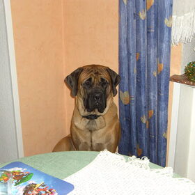 Onze grote schat!!!