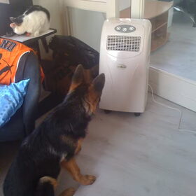 lekker afkoelen bij de airco:D!!