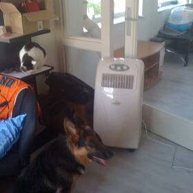 lekker afkoelen bij de airco!!