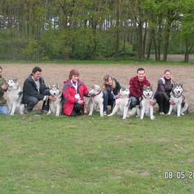 bijna alle pups van nanou haar nestje 2009 , nog eens samen op…