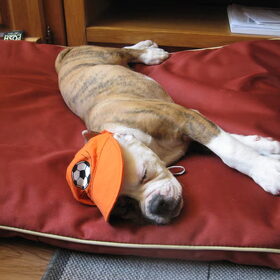 Hup Holland