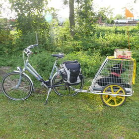 Hondenfoto van Eef en Tjibbe