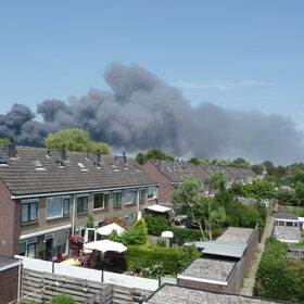 Hondenfoto van Eef en Tjibbe