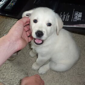 Ze is ook zo schattig :P